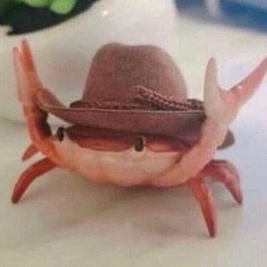 Meet your Posher, Siara